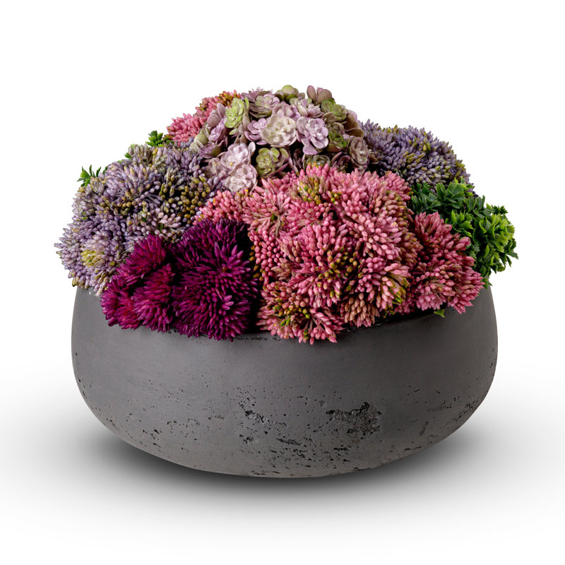 Georgina Sedum Floral Arrangement in Pot, Charcoal