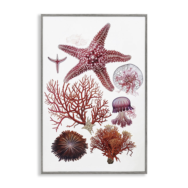 Créature sous-marine Rosy, giclée encadrée, design par Ramona Murdock, H 24 po x l 16 po, Estampe numérique Farmhouse