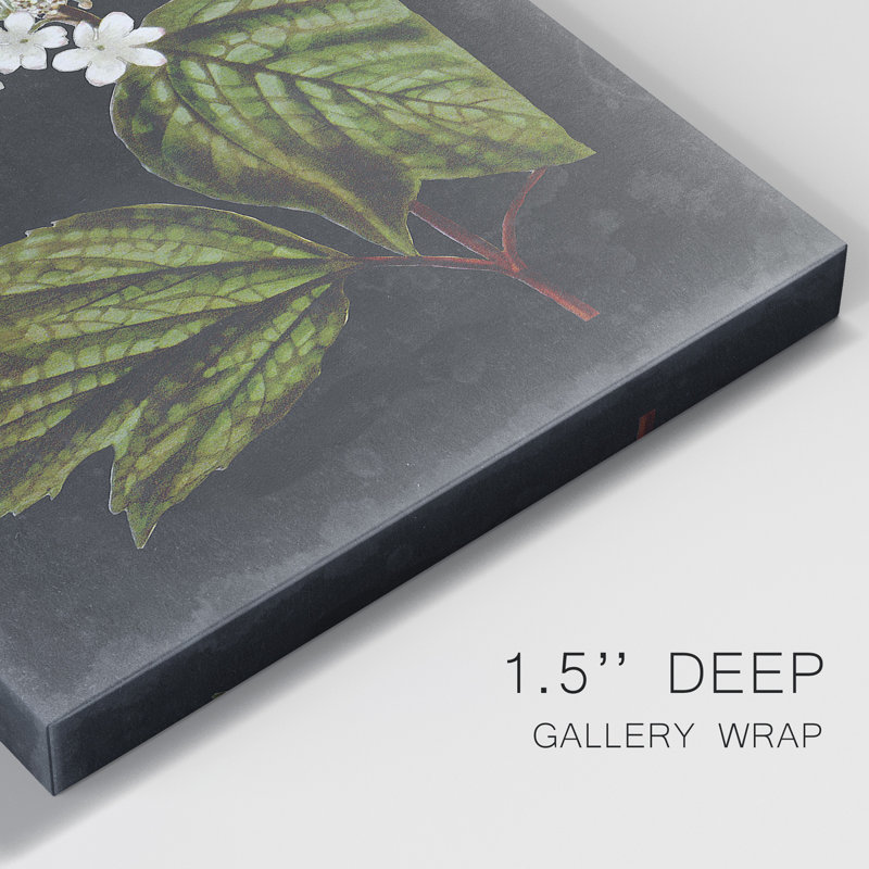Fleurs blanches dramatiques III - impression, H 36 po x l 24 po x P 1 po