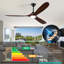 Ceiling Fan with LED Lights-1192076299-1192091152