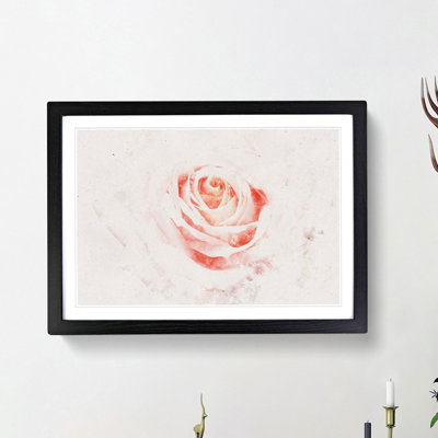 Pale Pink Rose - Framed Print