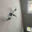 Photos des clients 1 de 1