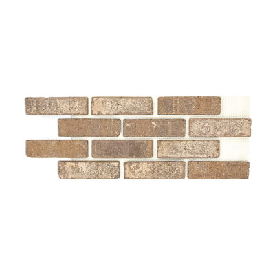 Mojave Brickwebb