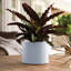 Pot à fleurs rond intérieur / extérieur en plastique moderne avec soucoupe-1933896411-1927843351