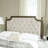 Moneta Upholstered Headboard-21374078-21374075