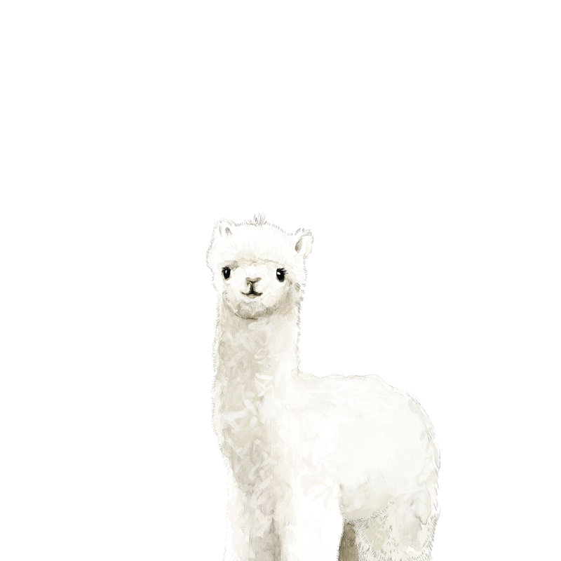 Baby Alpaca Watercolour - Wrapped Canvas Painting, 122cm H x 81cm W x 3.8cm D