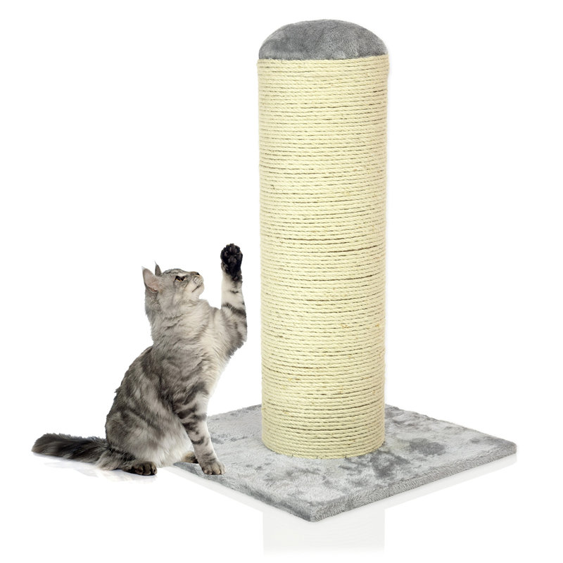Evelynn 74 cm H Cat Scratchers