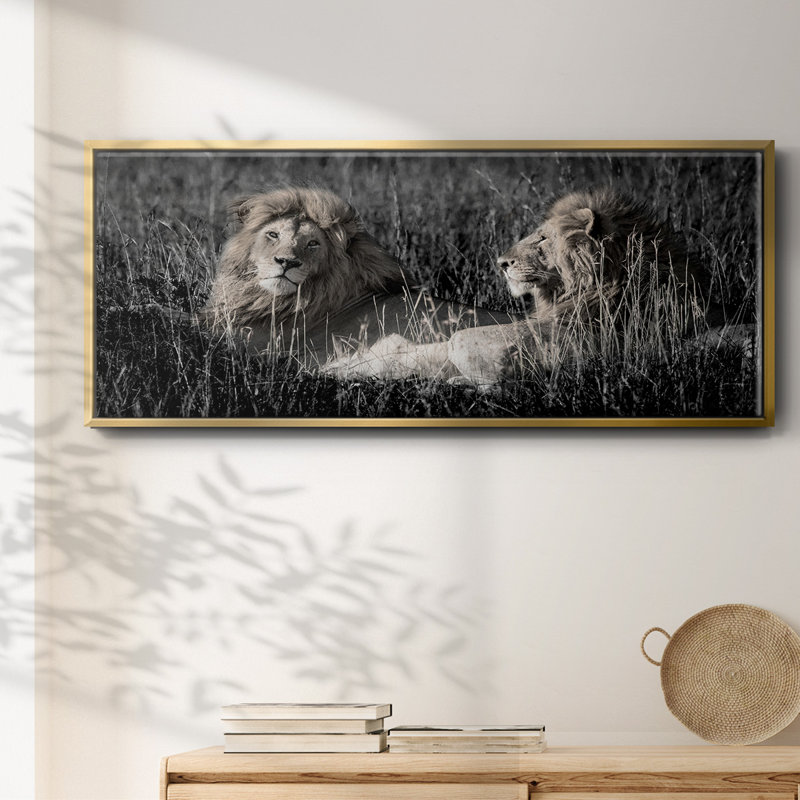 Mara Lions- Framed Canvas, 24" H x 60" W