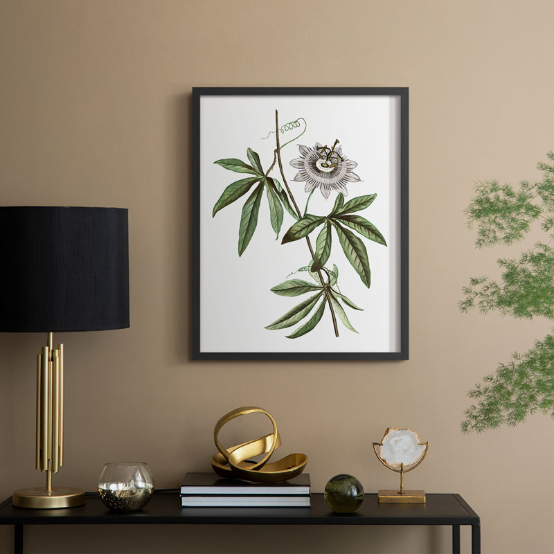 Tropical Botanical I, reproduction encadrée - bois massif, Noir, noir, noir, noir, H 11 po x l 9 po