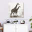 Girafe Brampt-109381611