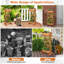 Lit de jardin surélevé 1,5 pi x 1 pi Shifflett