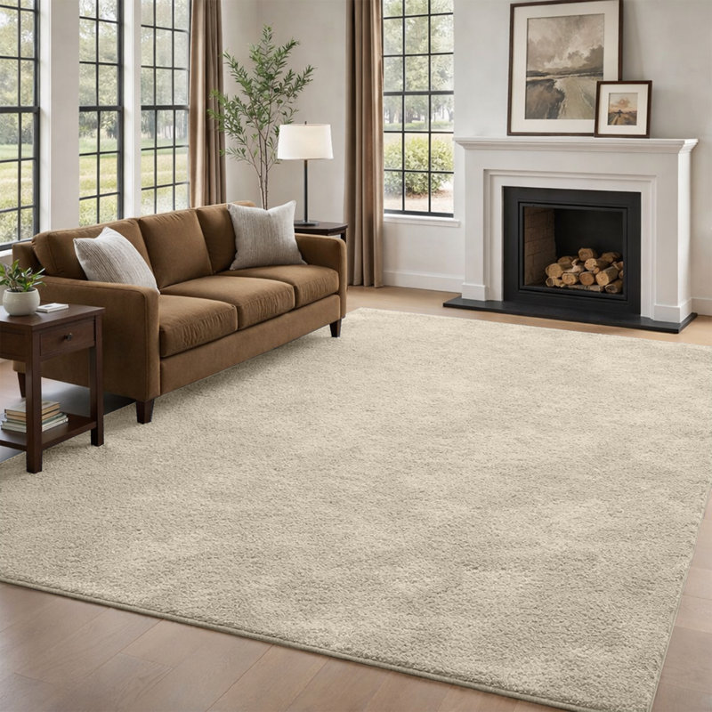 Luxury Fluffy High-Pile Rug for Living Room & Bedroom, Beige, 60 cm x 120 cm