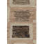Area Rug-1755159094