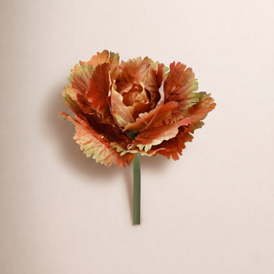 10" Autumn Cabbage Stem