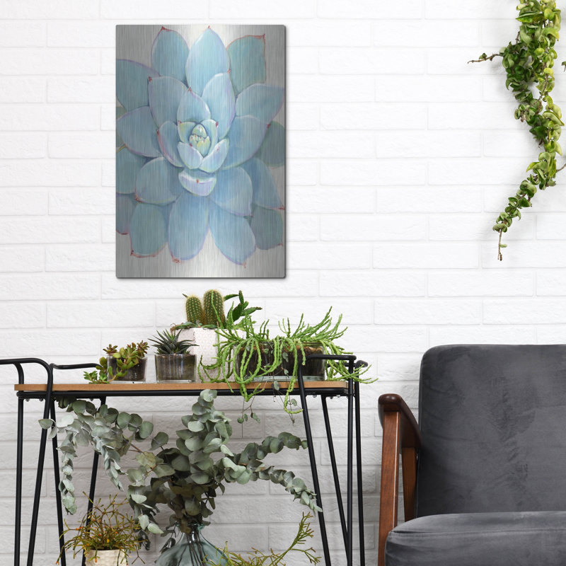 Art mural en métal «Pastel Succulent I» par Tim O'Toole, H 16 po x l 12 po