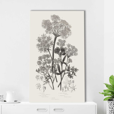 Plantes à fleurs VI neutre - Peinture