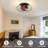 Didula 19.7'' Ceiling Fan with Light Kit