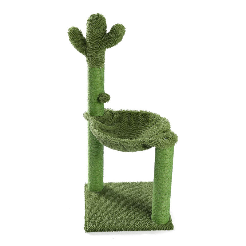 Grattoir Cactus