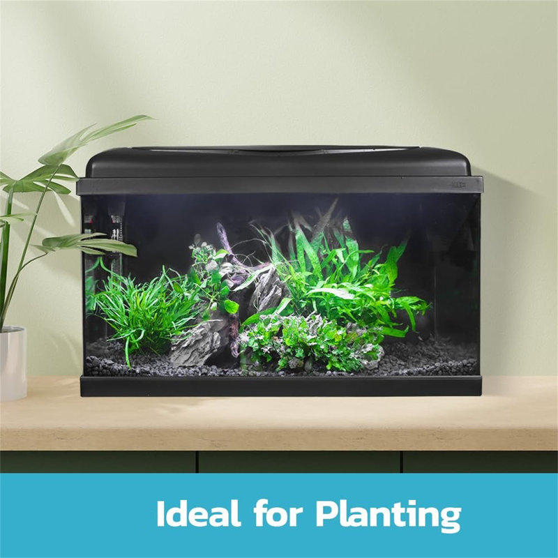 Aquarium 60Cm Tropical Freshwater LED Fish Tank Kit 54Ltrs