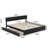 Ause Solid Wood Platform Bed with Matching Trundle-336580365-380814967