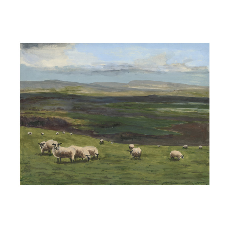 " Highland Sheep I ", 24" H x 24" W