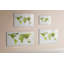 Magnetic Memo Board Whiteboard - 90 x 60 cm - With Marker and Magnets - Watercolor world map
