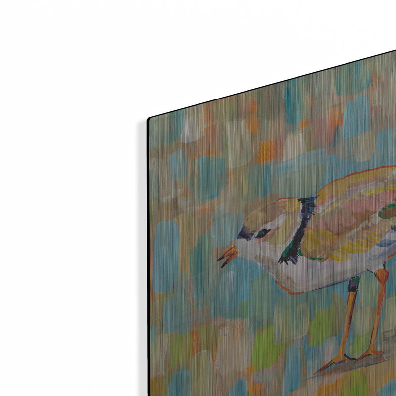 «Coastal Plover IV» par Jeanette Vertentes, H 12 po x l 12 po