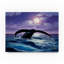 «Whale Tail» de Fikes, reproduction de peinture à l'huile sur toile tendue-25328611