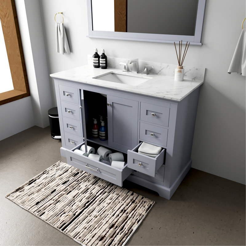48 po Unité de meuble-lavabo gris foncé l 22 po x P 22 po avec miroir à 9 tiroirs et espace intérieur