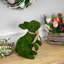 Lapin vert 10,5