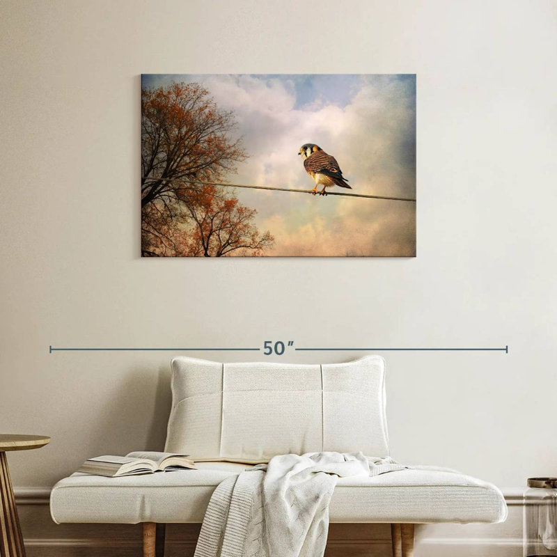 Brampt American Kestrel In Autumn, 24" H x 36" W