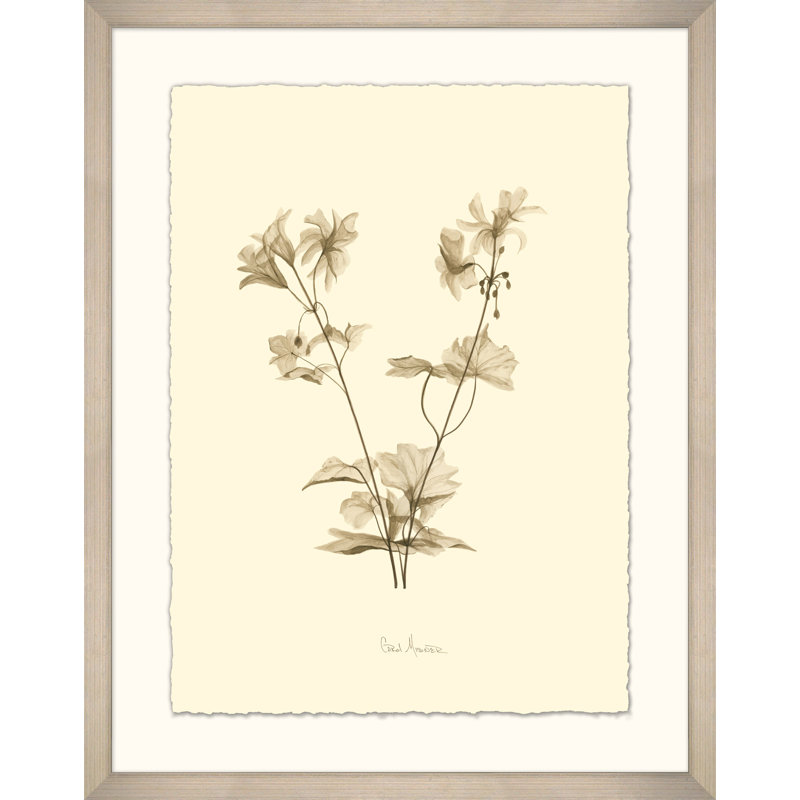 Geranium - cadre photo, impression sur papier