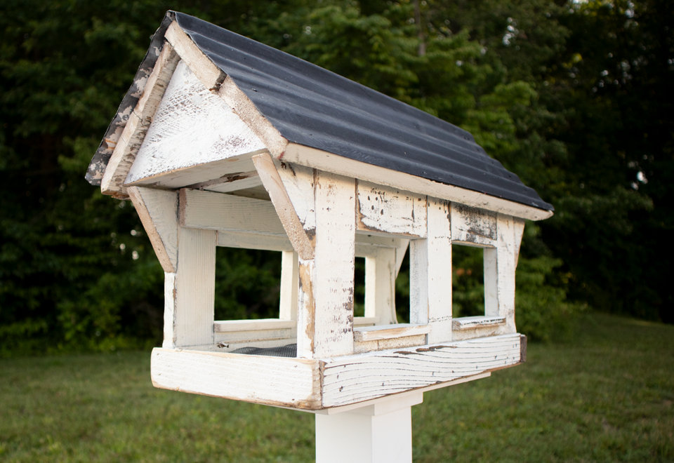 Bird Feeders