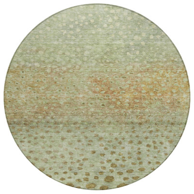 Tapis intérieur / extérieur lavable à la machine ACN1074 3 pi x 5 pi Chayil