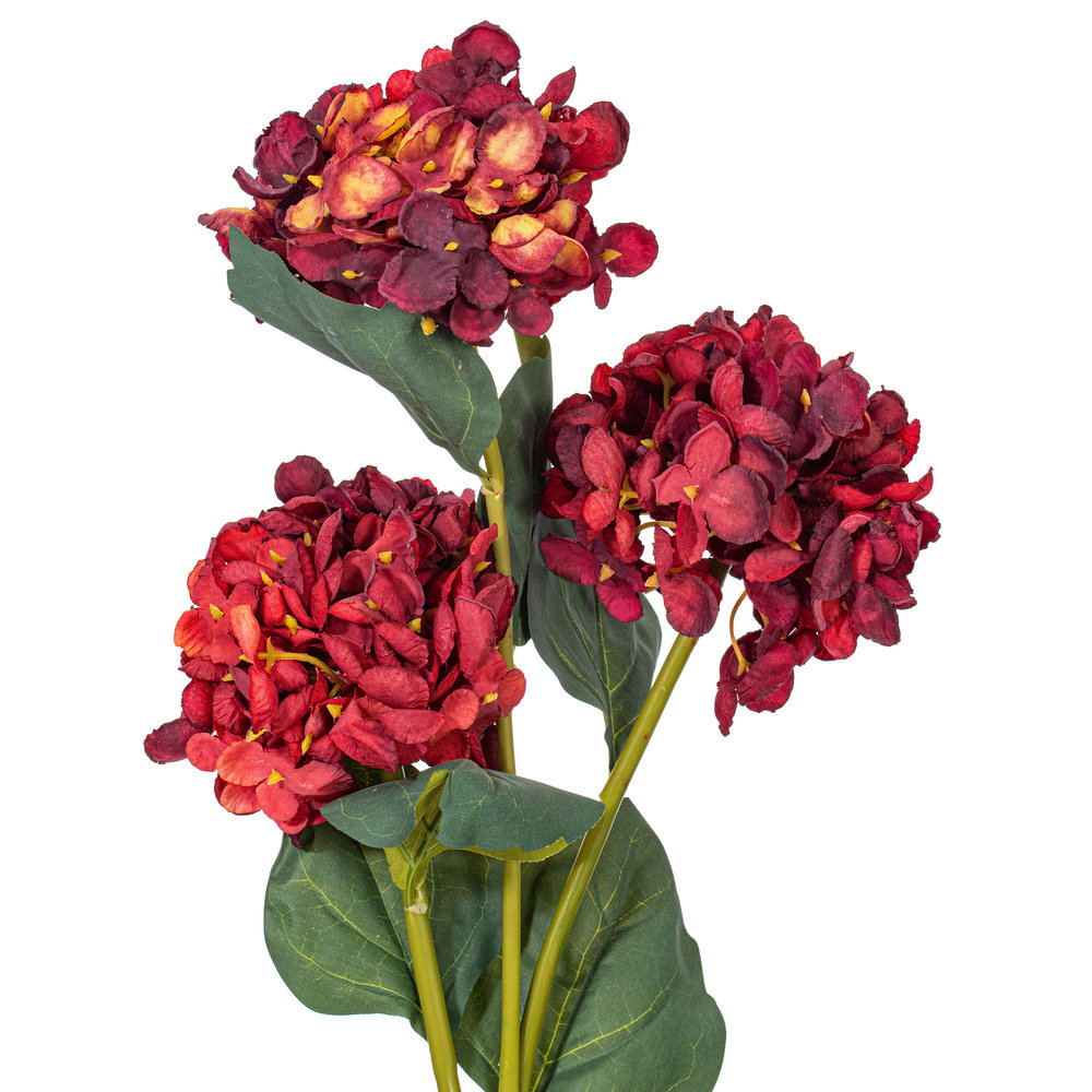 Ranbir Hydrangea Stems, Burgundy
