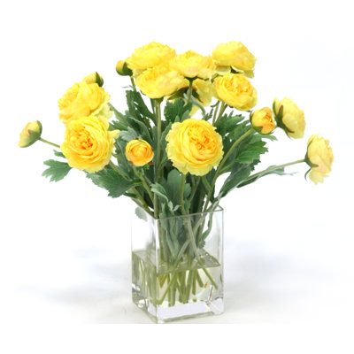 Yellow Ranunculus In Tall Rectangle Glass Vase