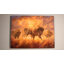 Courir Buffalo 18 x 24 entièrement illuminé impression DEL ColorChange