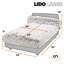 Lit orthopédique pour animaux Mid-Century-1953814895-1953814894