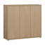 Saabir 20 Pair Shoe Storage Cabinet-501356854
