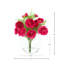 Ranunculus and Fern in a Glass Vase with Acrylic Water-1671722519-1671722518