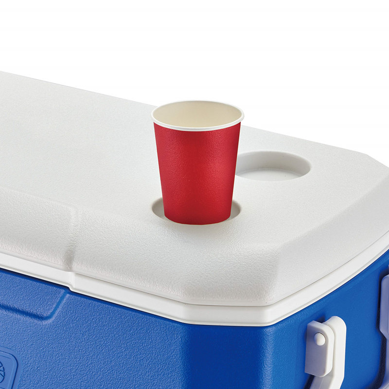 Dakota Fields Picnic Cooler in Blue