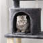 152cm H Cat Tree-515681124
