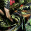 Boutique Ebony 100% Cotton Fabric