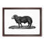 Sheep Illustration - Picture Frame Drawing Print-55619123-55619125