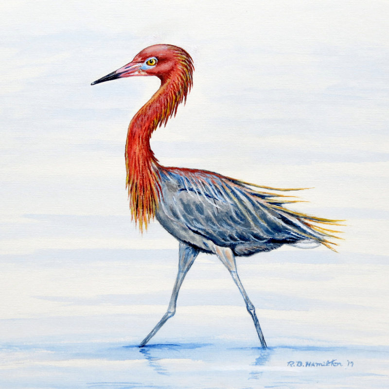 Sous-verre aigrette rougeâtre