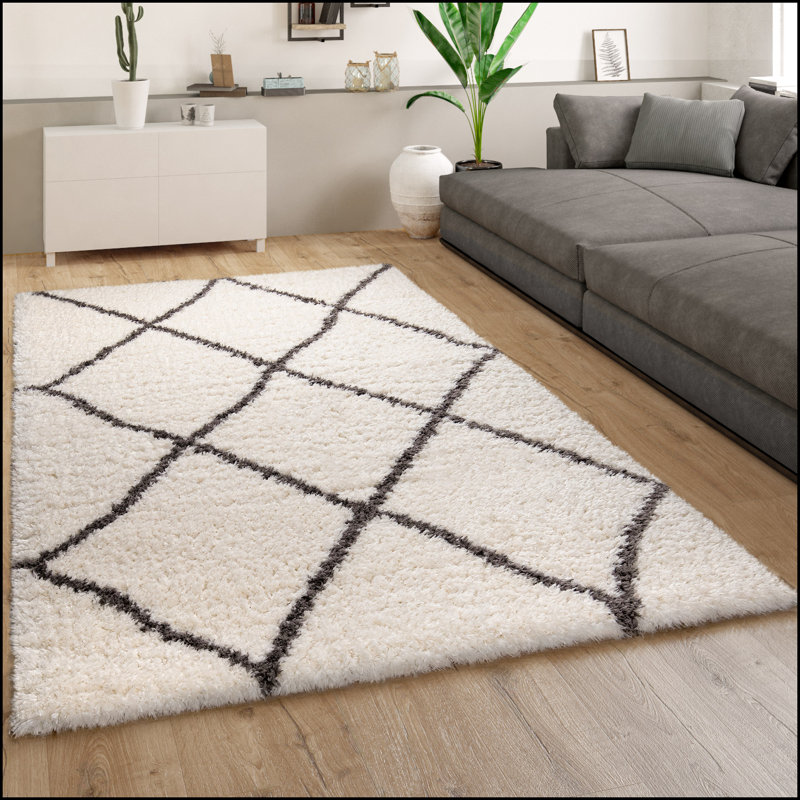 Wachapreague Geometric Shag Area Rug, Rectangle 60 x 90cm