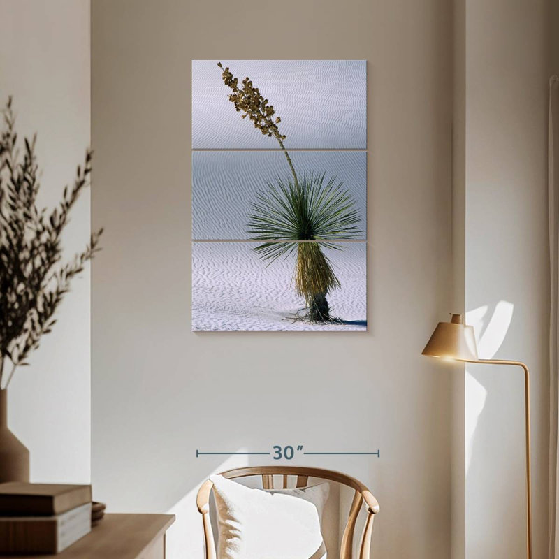 Succulent Harnek Yucca, H 57 po x l 36 po