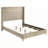 Upholstered Queen Wingback Bed