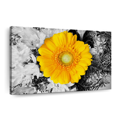 Gerbera Daisy Pop Canvas Print