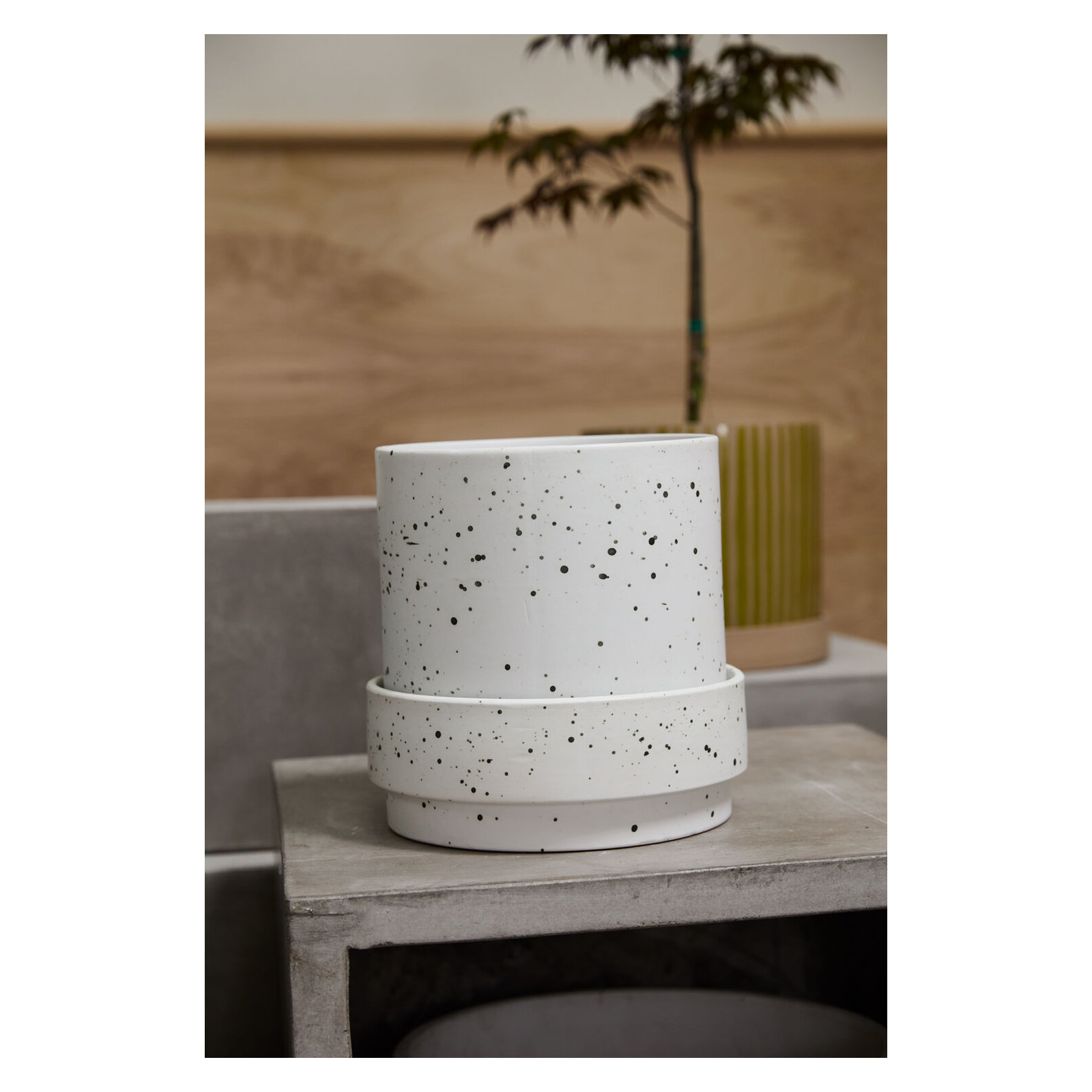 Bridgeway Pot with Saucer, 10" H x 10" W x 10" D